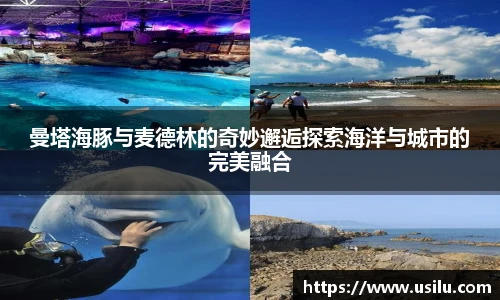 悟空体育官方